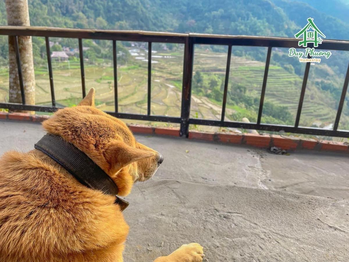 Pu Luong - Duy Phuong Homestay Thanh Hóa Eksteriør bilde