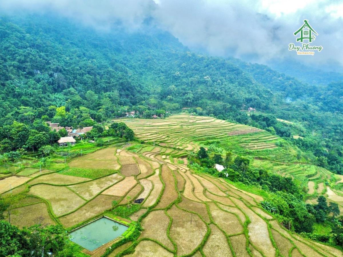 Pu Luong - Duy Phuong Homestay Thanh Hóa Eksteriør bilde