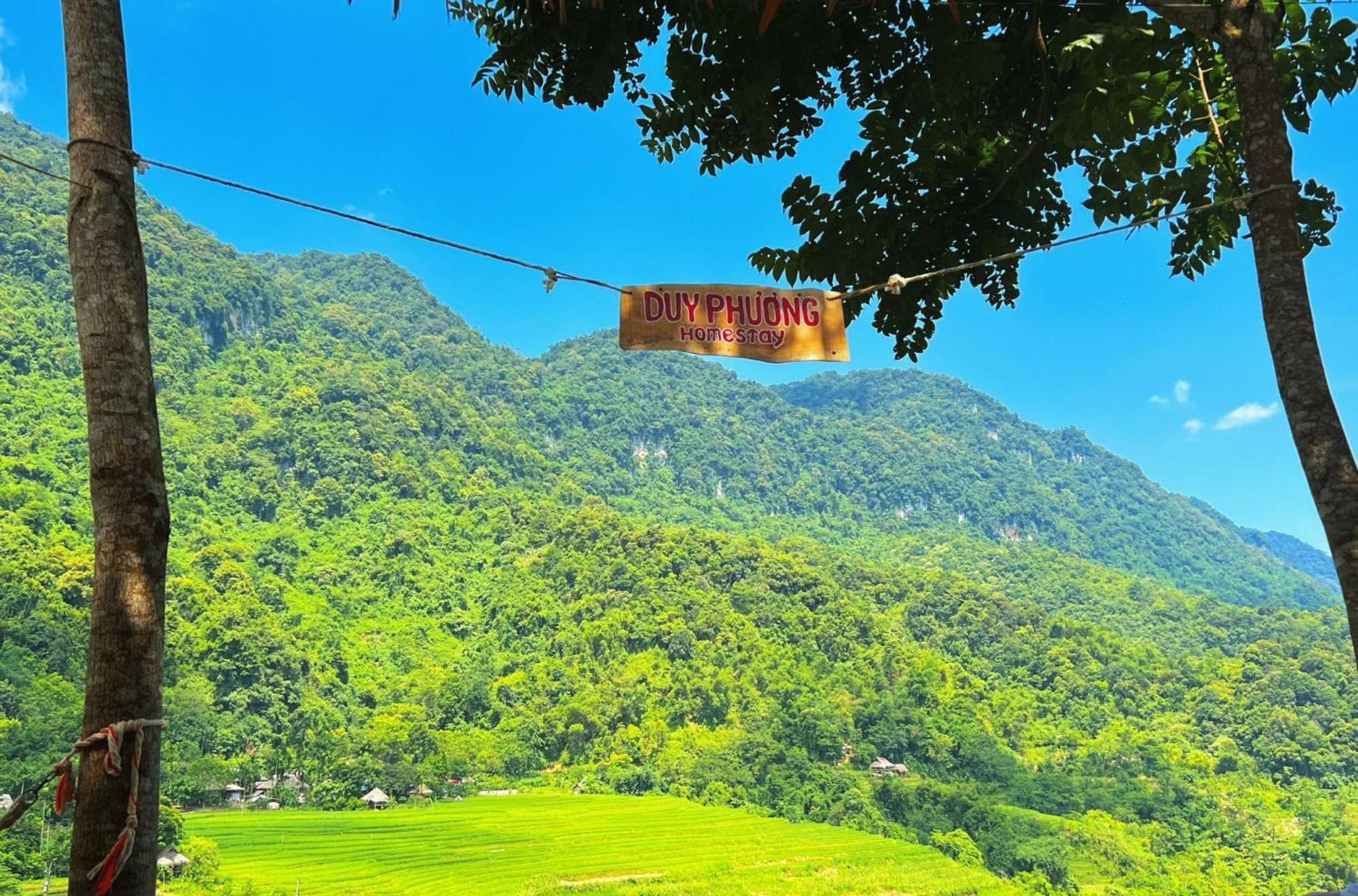 Pu Luong - Duy Phuong Homestay Thanh Hóa Eksteriør bilde